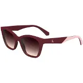 Calvin Klein Jeans J24303s Sunglasses Doré Dark Red 5/CAT3
