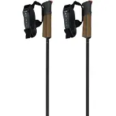 Fischer Gt 11 Carbon Mag Poles Marron 120 cm