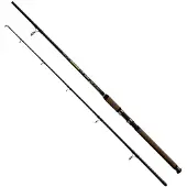 Wizard Phantom Catfish Rod Doré 3.00 m / 200-500 g
