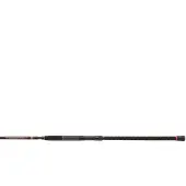 Penn Prevail Ii Uptide Bottom Shipping Rod Noir 3.00 m / 70-300 g
