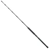 Sunset Baroudeur Tuna Tracker Bottom Shipping Rod Argenté 1.75 m / 130 Lbs