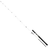 Daiwa Saltist Off Shore Jigging Rod Noir 1.65 m / 100-300 g