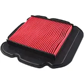 Champion Parts Caf2611 Air Filter Rouge