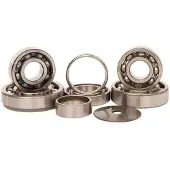 Hotrods Honda 250 Cr-r 02-04 Steering Bearing Kit Argenté