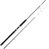 Cinnetic Sky Line Tanera Jigging Rod Argenté 2.40 m / 160 g