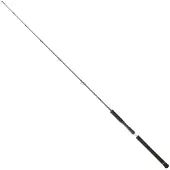 Daiwa Legalis Casting Slow Jigging Rod Argenté 1.93 m / 180 g