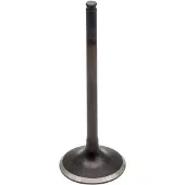 ProX Honda Crf450r 02-06 Vc14021 Exhaust Valve Argenté