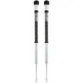 Öhlins Nix22 Yamaha Yzf R3 2015-2018 Cartridge Kit Argenté