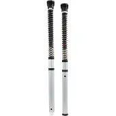 Öhlins Nix30 Yamaha Yzf R7 2021-2024 Cartridge Kit Argenté