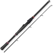 Herakles Calida Premium Baitcasting Rod Argenté 2.18 m / 10-50 g