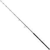Penn Marine Brigade Offshore Spinning Rod Argenté 2.44 m / 100 g