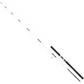 Daiwa Canne Spinning Saltist Off Shore