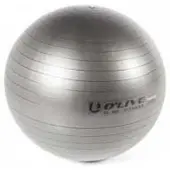 Olive Fitness Fitball Gris 65 cm