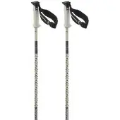 Salomon Polar Pro S3 Poles Argenté 105 cm