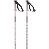 Salomon Polar Poles Argenté 130 cm