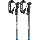 LEKI Qntm Poles Argenté 125 cm Homme,Femme