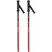Rossignol Stove Poles 30 Pairs Argenté 110-130 cm