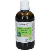 La Drome Extrait de Épilobe à Petites Fleurs Bio 100 ml Teinture(S)