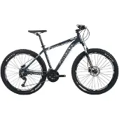 Lupo Raptor 1 29´´ Mtb Bike Gris 51