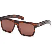 Adidas Originals Lunettes de Soleil - - OR0127 - Dark havana - Plastique - Aviator