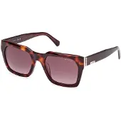 GUESS GU00172 56F coloured havana 53/19/150 Lunettes de soleil hommes