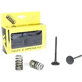 ProX Suzuki Rm-z250 07-23 Vcses33381 Exhaust Valve Argenté