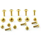 Pro Bolt Honda Fho430g Fairing Screw Kit Doré