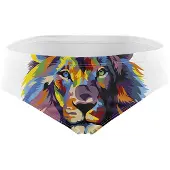 Otso Be A Lion Swimming Brief Multicolore XL Homme