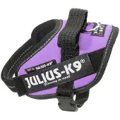 JULIUS K-9 Idc Power Baby Dog Harness Violet Baby 1