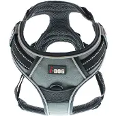 IDog Style Dog Harness Noir XL