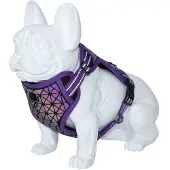 Freedog Boreal Dog Harness Multicolore 20 mm x 38-75 cm