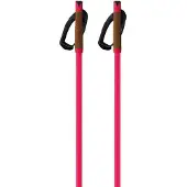 Fischer Storm Gtx L Poles Rose 170 cm