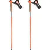 Rossignol Force 10 Poles Argenté 180 cm Homme