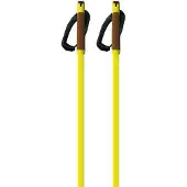Fischer Storm Gtx S Poles Doré 170 cm