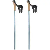 Rossignol Ft-600 Cork Poles Argenté 150 cm Homme