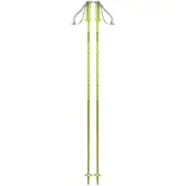 Salomon Polar Poles Clair 110 cm