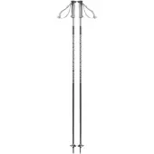 Salomon Polar Poles Argenté 120 cm