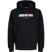 Jack & Jones Sweat-shirt 'Lafayette' vert / rose / noir / blanc