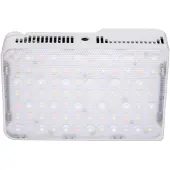 Amaran Ace 25c Blanc (Lumière vidéo), Lumière continue, Blanc