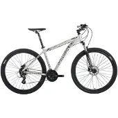 Lupo Raptor New Age 1 29´´ Mtb Bike Gris 54