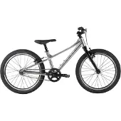 Marin Coast Trail 20´´ 1s 2024 Bike Argenté Garçon