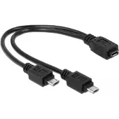 DeLOCK Câble USB 2.0 en Y -