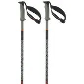 Salomon Polar Pro S3 Poles Argenté 100 cm