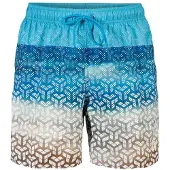 Arena Boxer natation