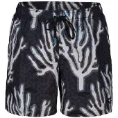 Arena Boxer natation