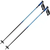 Salomon Hacker S3 Poles Argenté 115 cm