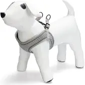 Beeztees Premium Parinca Step In Harnais - Harnais pour chiens -