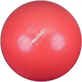 Avento Ballon d'entraînement et de gymnastique