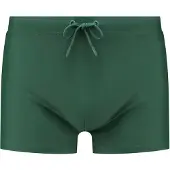 Shiwi Maillot de bain vert