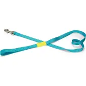 Beeztees Bz Nylon Laisse Uni Bleu Clair 12 (Chien, Général)